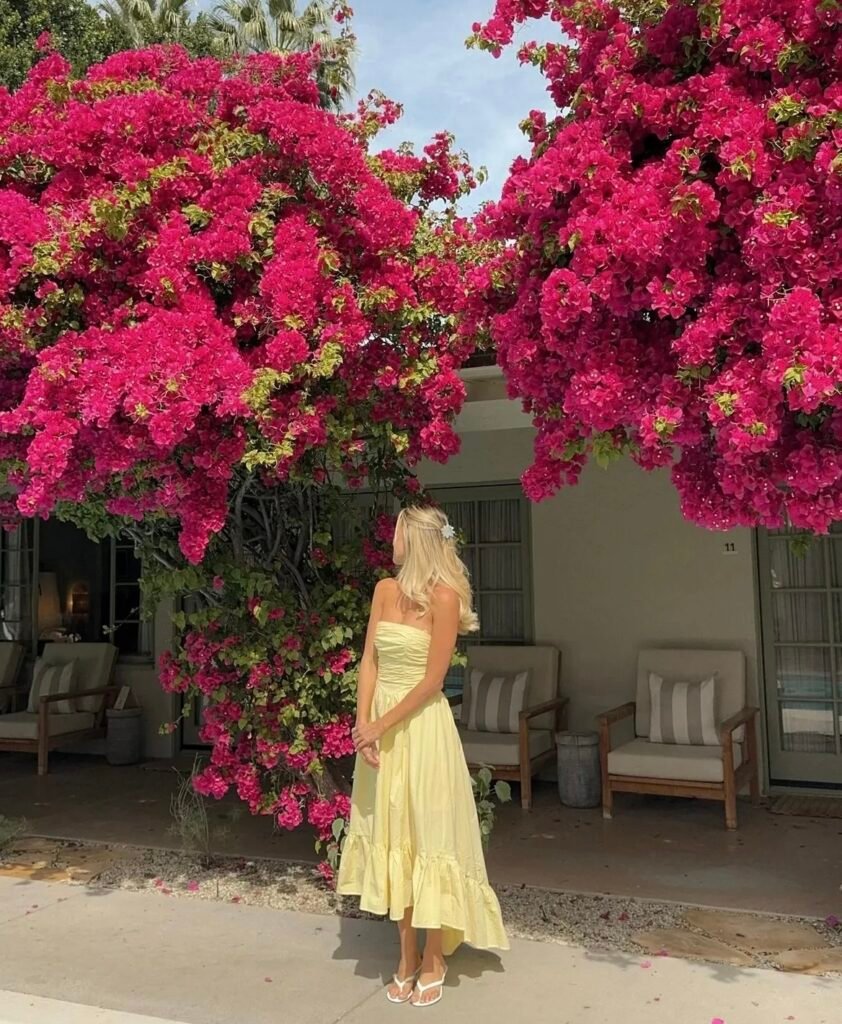 A casual lunch outfit.